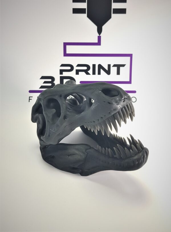 cap schelet Trex 3D PRINT FirstPower.ro Printare / Imprimare 3d pentru oricine Bucuresti