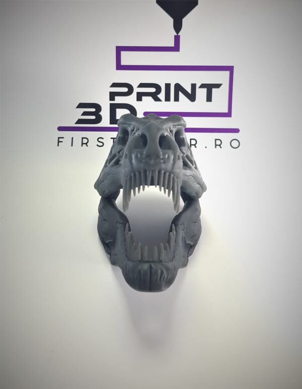 cap schelet Trex 3D PRINT FirstPower.ro Printare / Imprimare 3d pentru oricine Bucuresti