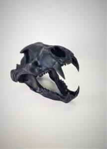 craniu rasaina 3d print  - Printare 3D PLA FirstPower.ro Printare / Imprimare 3d pentru oricine Bucuresti